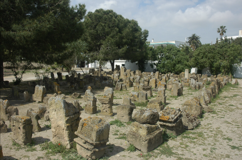 An archaeological site featuring rows of stone stelae and cippi on the ground