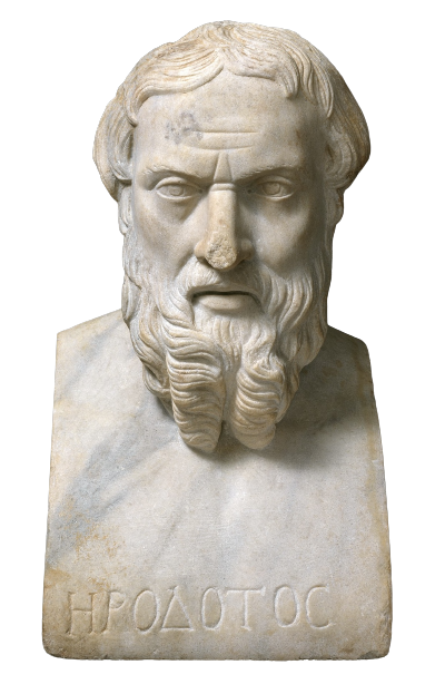 A white marble bust of a man with wavy hair and a long, wavy beard. He looks straight ahead. The bottom of the bust is inscribed "Herodotus" in Greek letters.